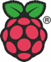Raspberry pi logo